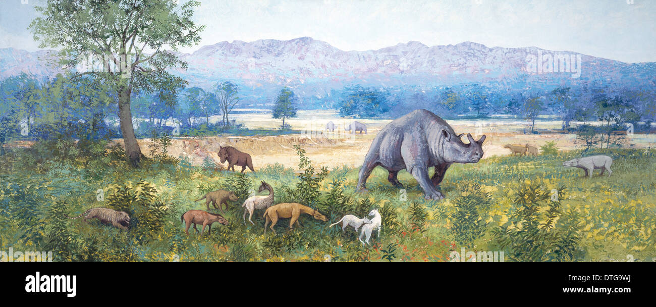 White River Szene, späten Eozän Stockfoto