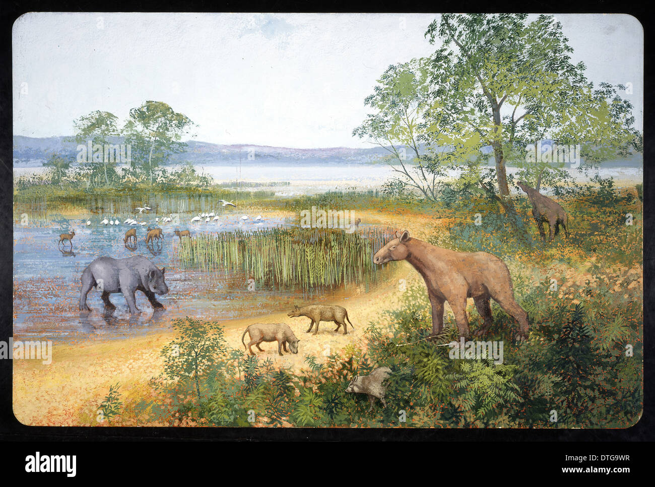 Frühen Miozän Szene in Europa Stockfoto