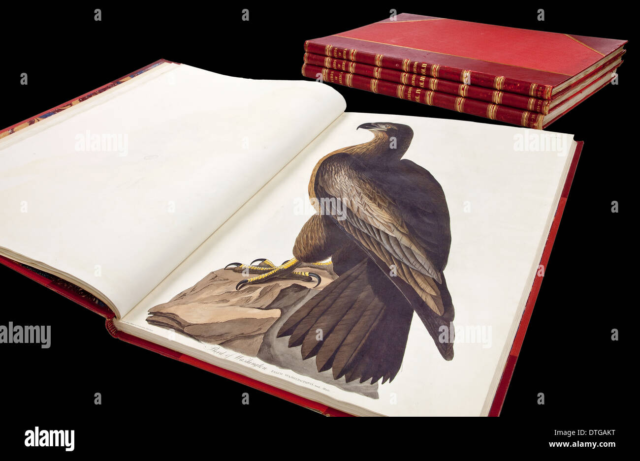 Gedruckte und gebundene Kopie von The Birds of America von Audubon. Stockfoto