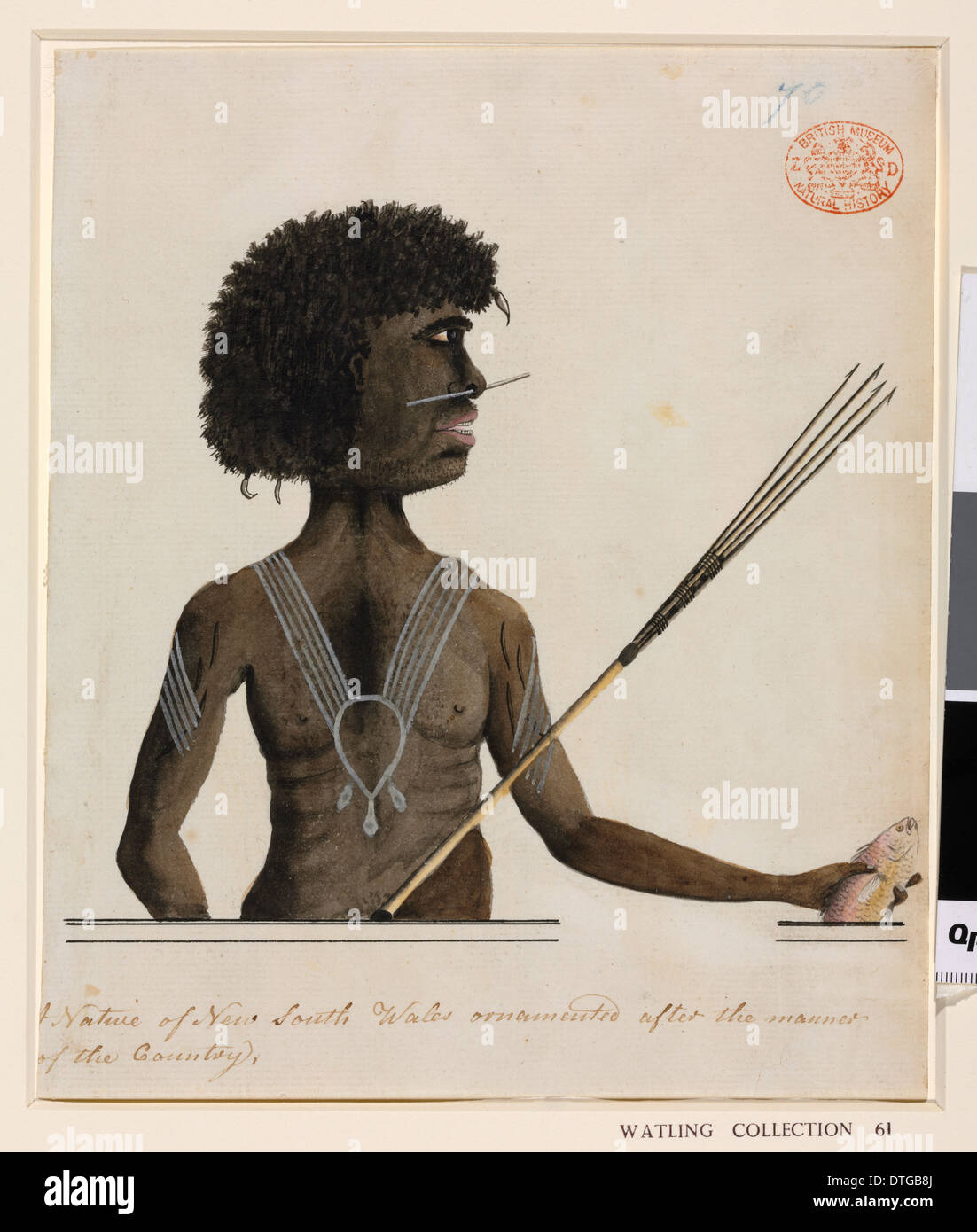 Porträt eines Aborigine-Mannes Stockfoto