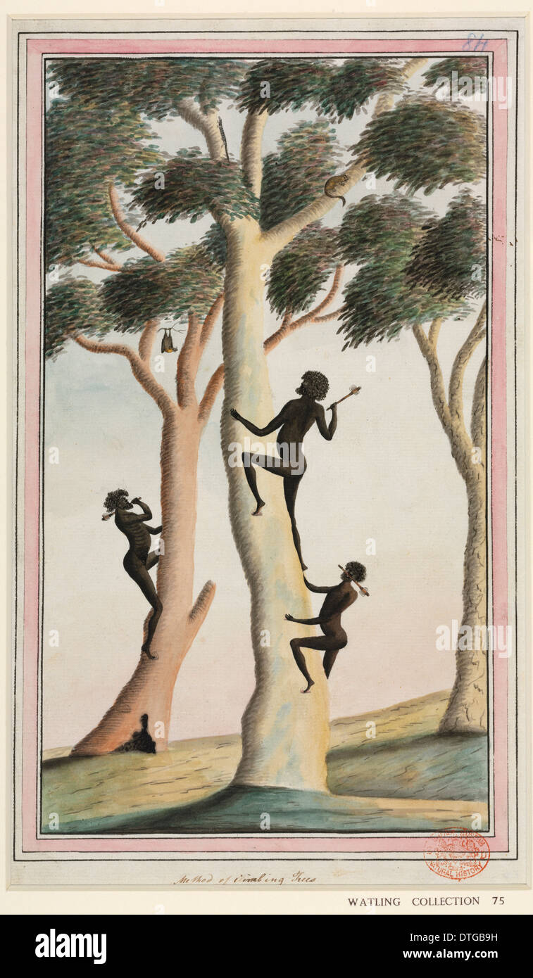 Aboriginal Art der Bäume zu klettern Stockfoto