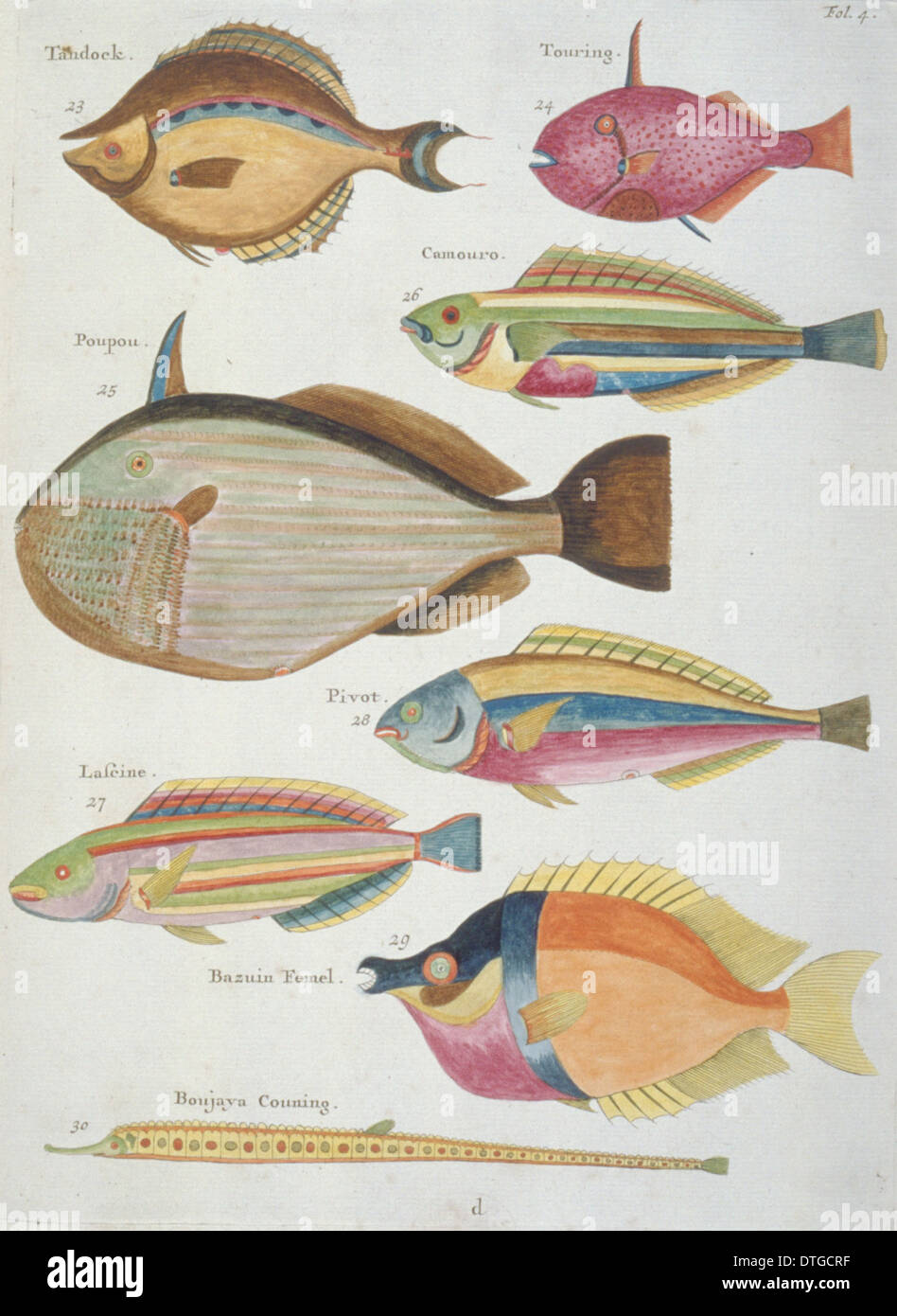Farbige Darstellung der acht Fische Stockfoto