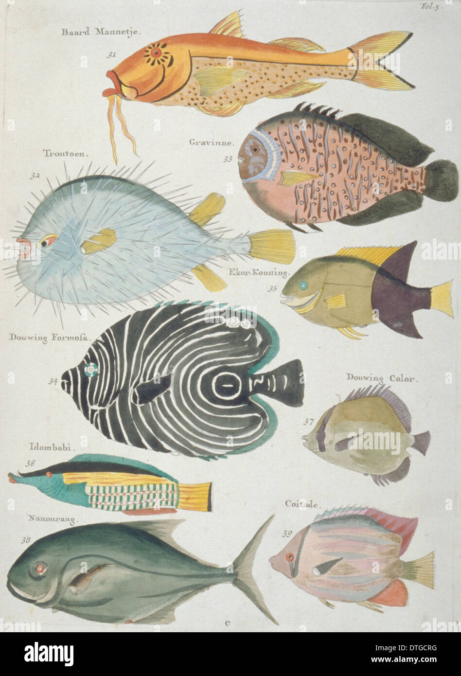 Farbige Darstellung der neun Fische Stockfoto