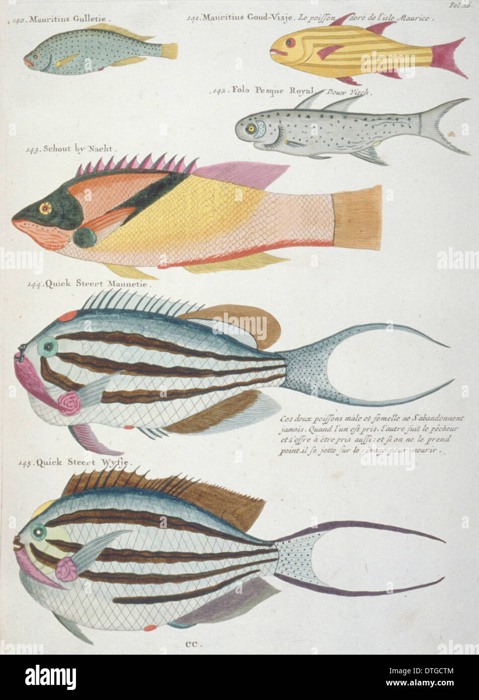 Farbige Darstellung der sechs Fische Stockfoto