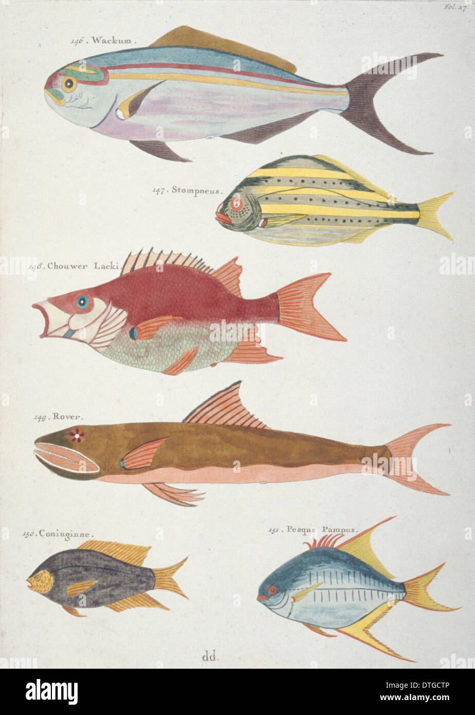 Farbige Darstellung der sechs Fische Stockfoto