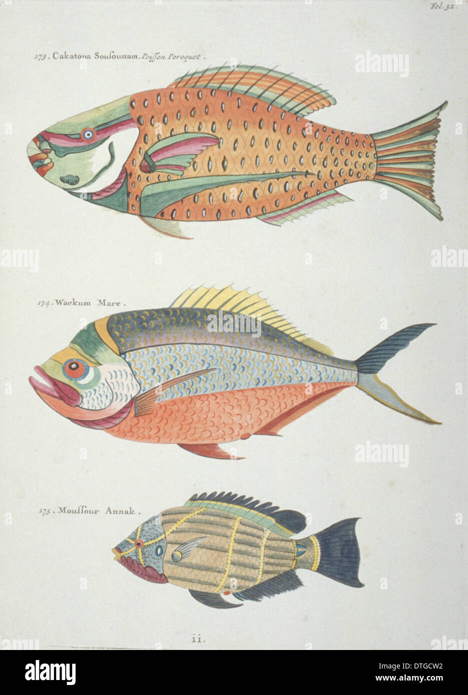 Farbige Darstellung der drei Fische Stockfoto