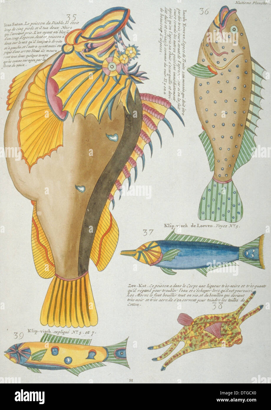 Farbige Darstellung der fünf Fische Stockfoto