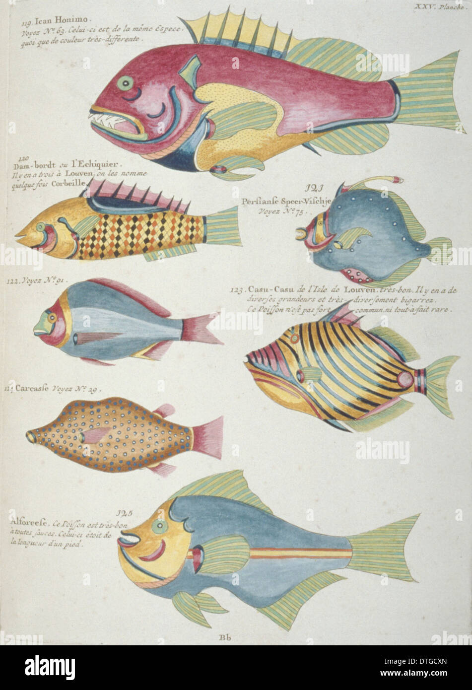 Farbige Darstellung der sieben Fische Stockfoto