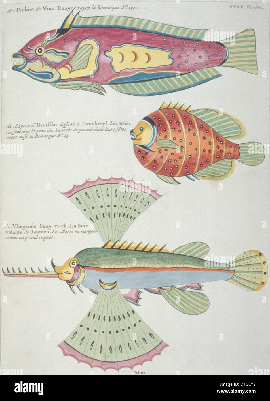 Farbige Darstellung der drei Fische Stockfoto