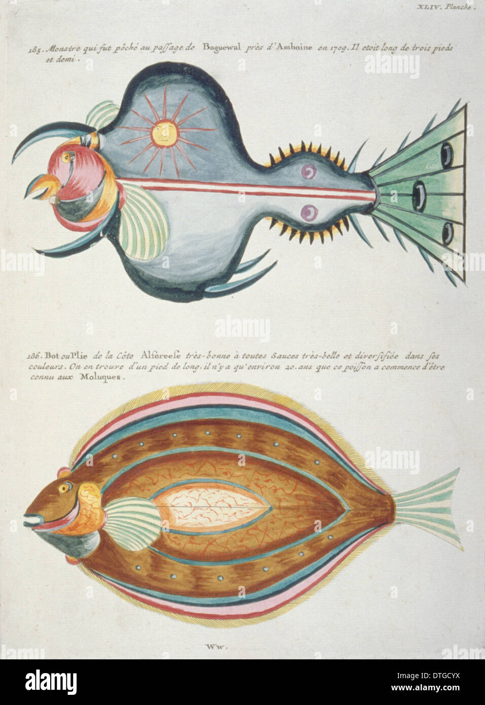 Farbige Darstellung der zwei Fische Stockfoto