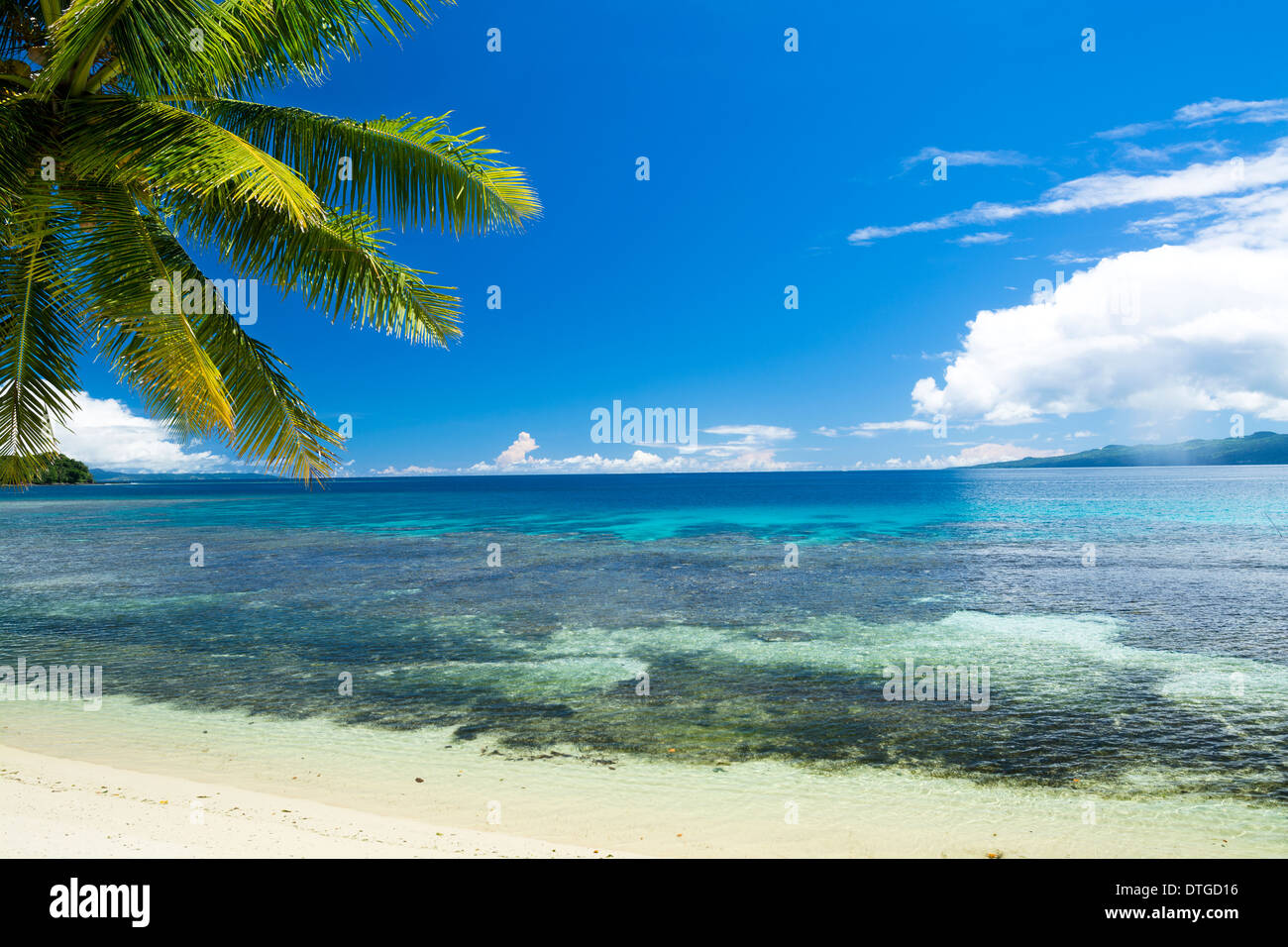 Einem tropischen Sandstrand mit üppigen, Linie Grün der Palmen, türkisfarbenes Wasser und einen großen, blauen Himmel. Stockfoto