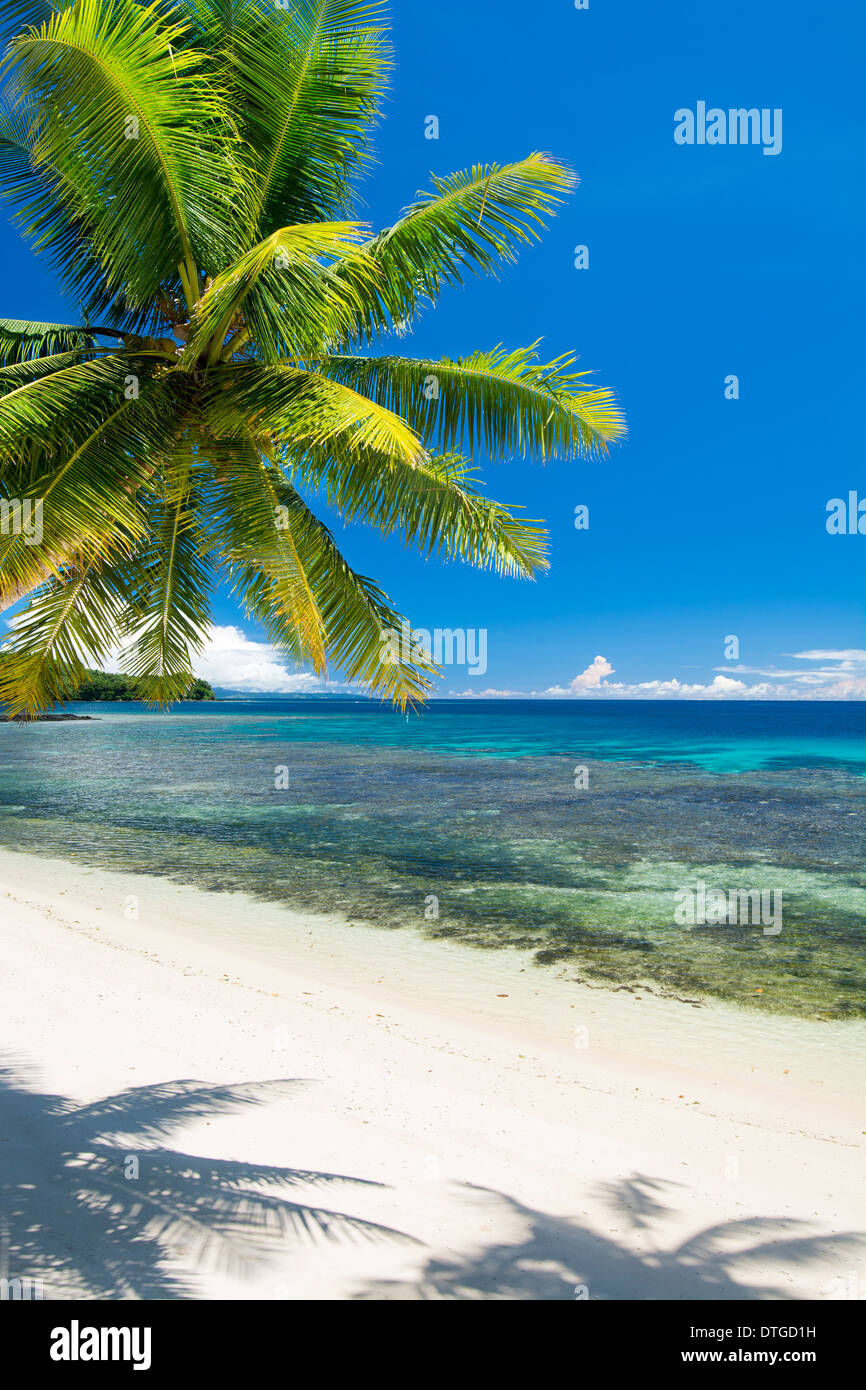 Vertikales Bild von einem tropischen Strand mit hellen grünen Palmen und türkisblaues Wasser. Stockfoto