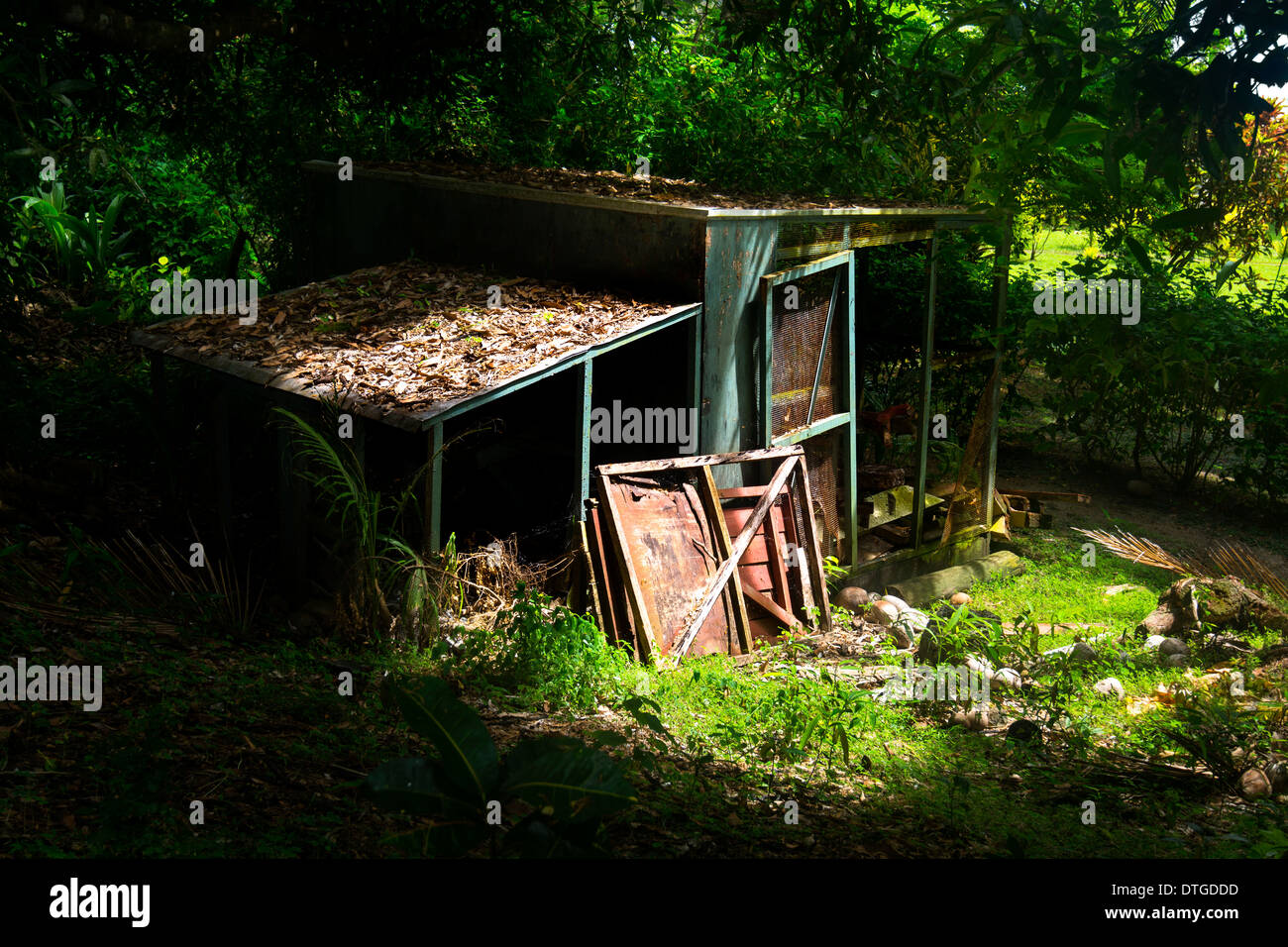 Morgensonne um seinen Zustand zu markieren ist eine verlassene Hütte in einem dichten Wald Wald getroffen. Stockfoto Morgensonne um seinen Zustand zu markieren ist eine verlassene Hütte in einem dichten Wald Wald getroffen. Stockfoto