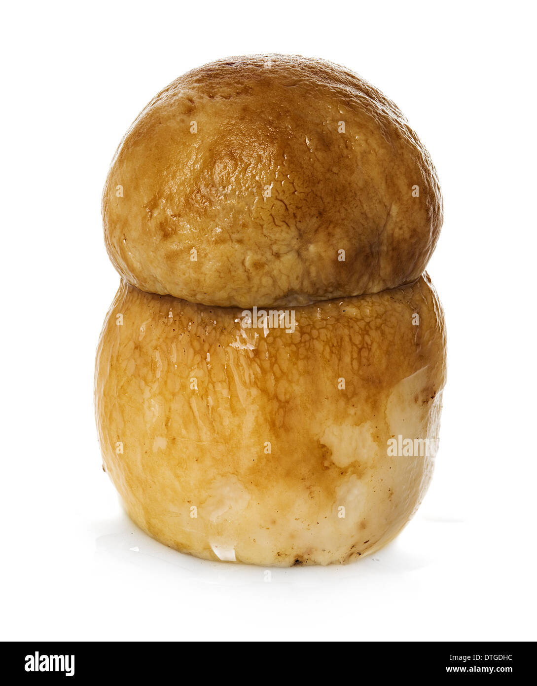 Gesalzene pilze -Fotos und -Bildmaterial in hoher Auflösung – Alamy