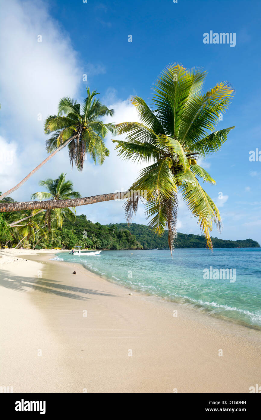 Vertikales Bild einer idealen tropisch, Palme gesäumten Strand mit türkisfarbenem Wasser und einem großen blauen Himmel. Stockfoto