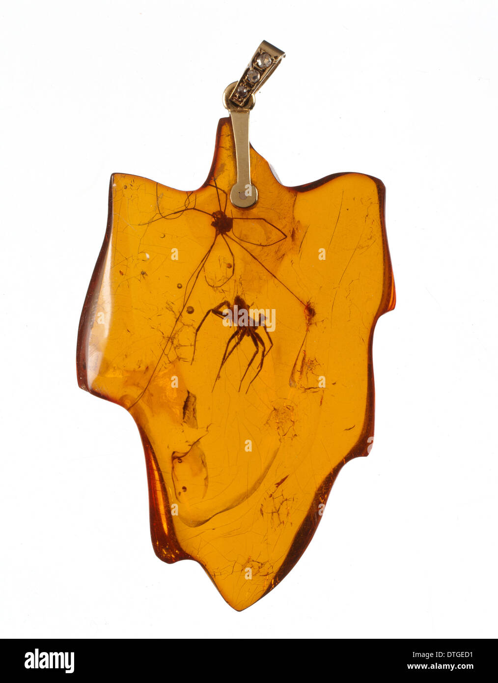 Spinnentiere in einem Bernstein Anhänger Stockfoto
