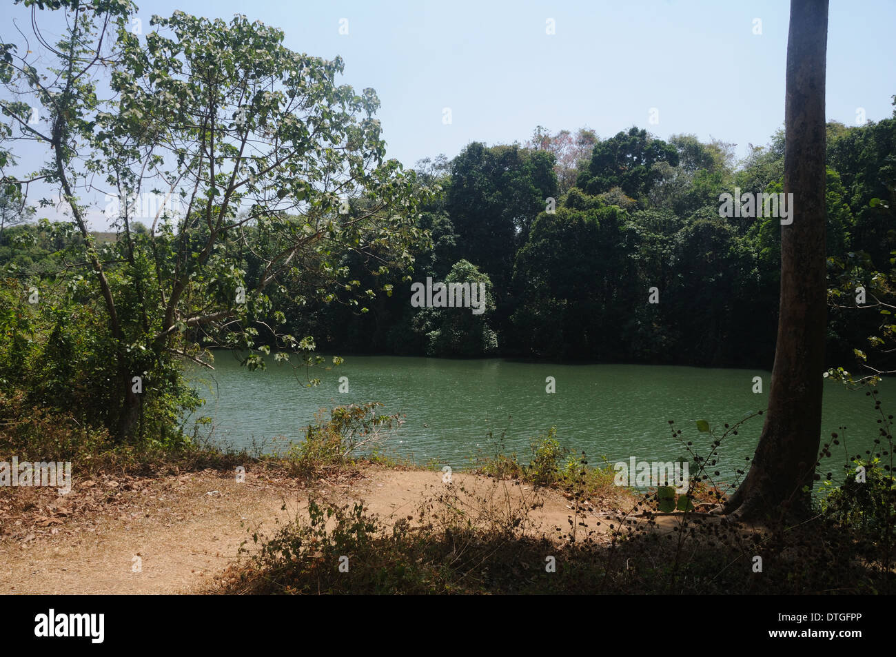 Ein See in Kerala, Indien Stockfoto