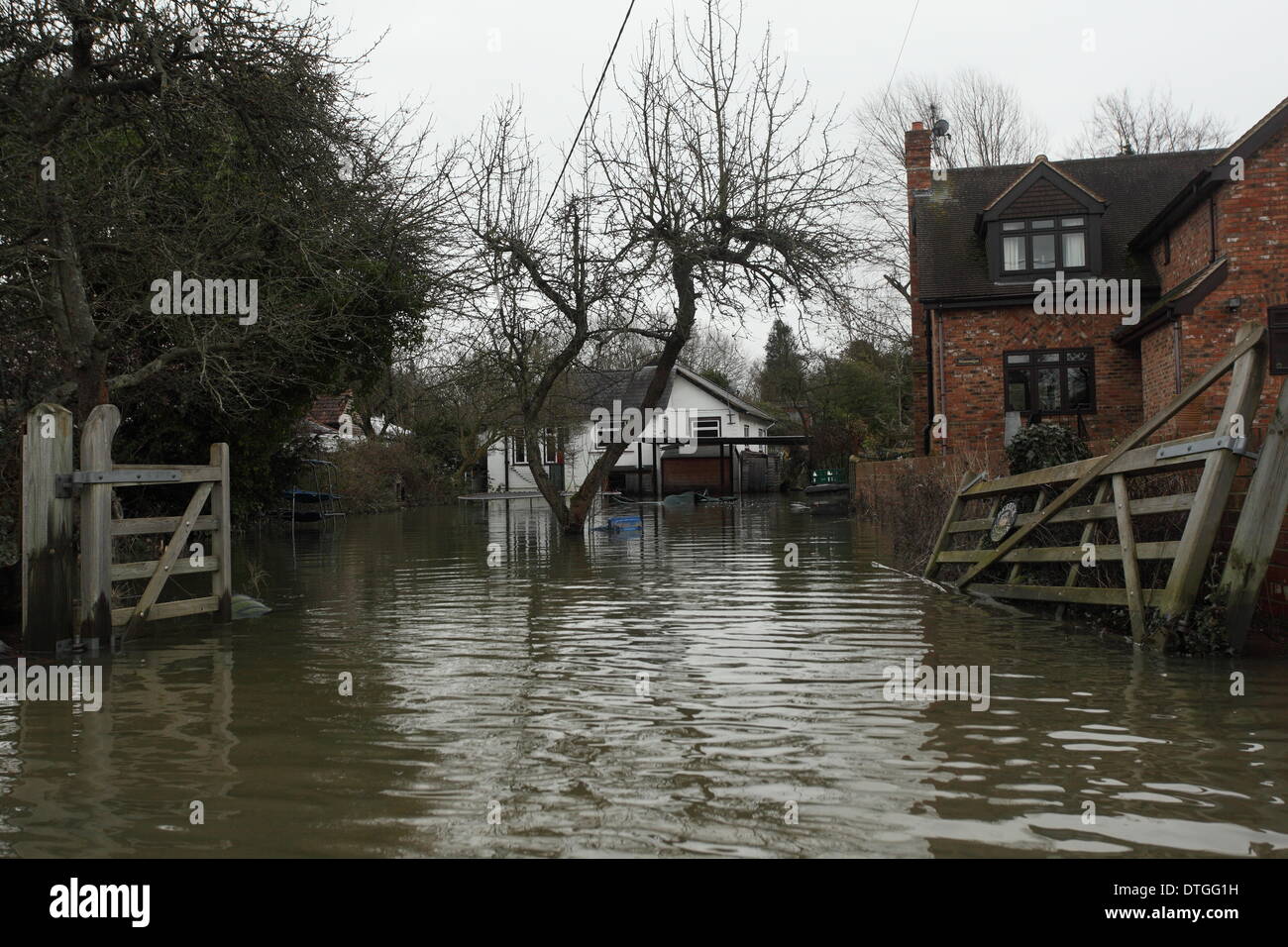 Thames Valley, UK. 17. Februar 2014. Fooded Häuser auf Kloster Insel, Wraysbury in der Nähe von Staines. Hochwasser bleiben nach Überschwemmungen in der Themse-Tal hoch. Bildnachweis: Zute Lightfoot/Alamy Live-Nachrichten Stockfoto