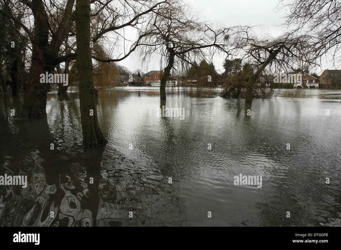 Thames Valley, UK. 17. Februar 2014. Häuser am Ufer der Themse in der Nähe von Staines überflutet. Hochwasser bleiben nach der letzten Wochen, die Überschwemmungen in der Themse-Tal hoch. Bildnachweis: Zute Lightfoot/Alamy Live-Nachrichten Stockfoto