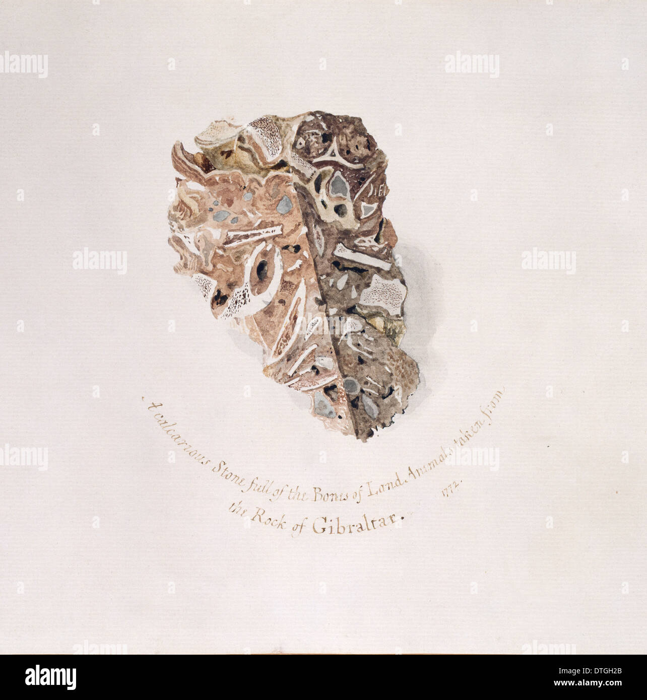 Quartäre Fissur Brekzie Stockfoto