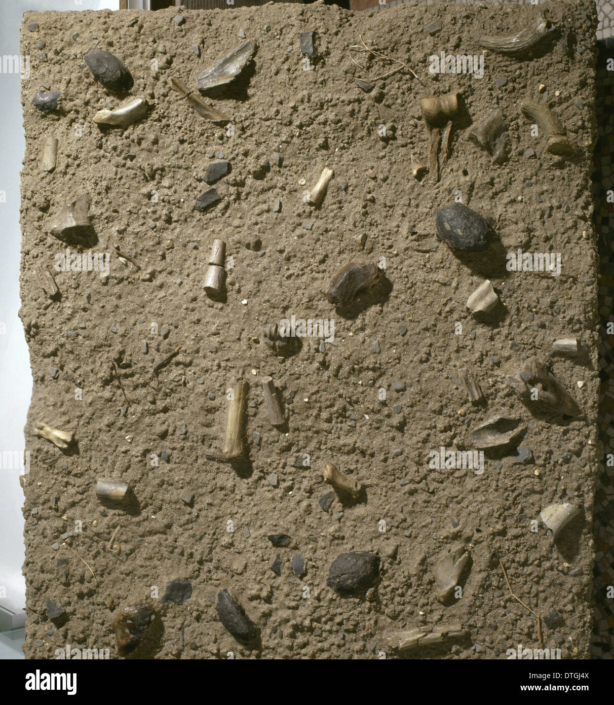 Homo Habilis fossilen Bett Stockfoto