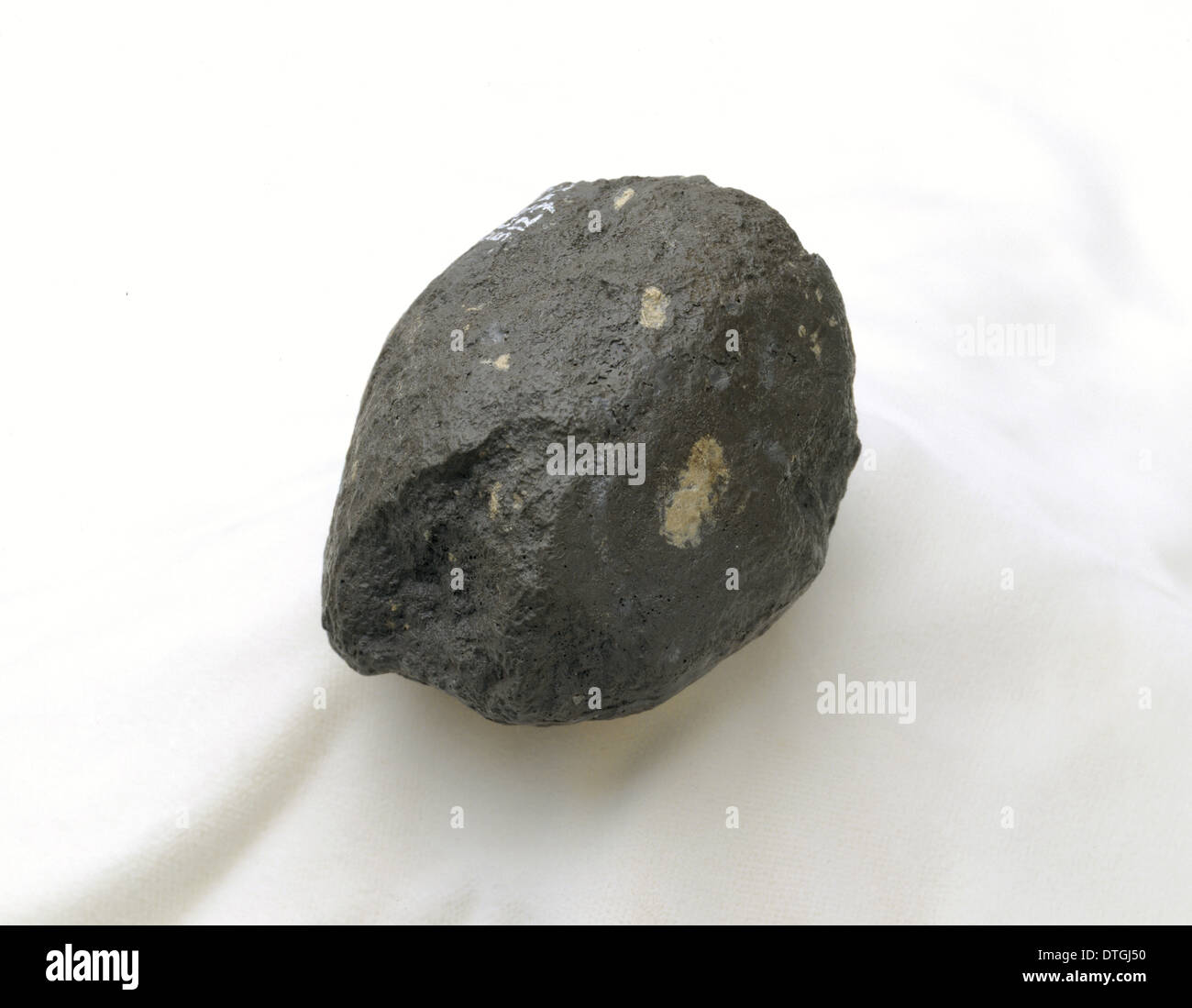 Ein Homo Habilis hammerstone Stockfoto