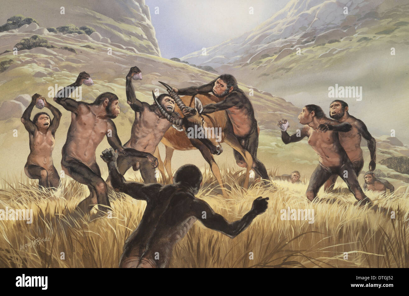 Homo Habilis in Aktion Stockfotografie Alamy