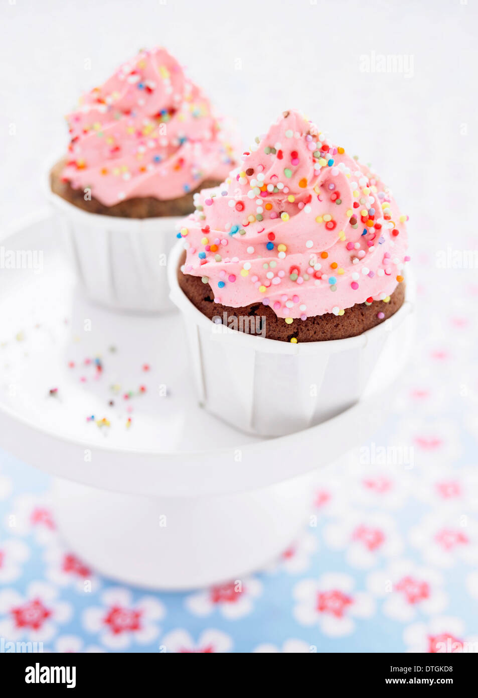 Schokoladentörtchen mit Erdbeer-topping Stockfoto