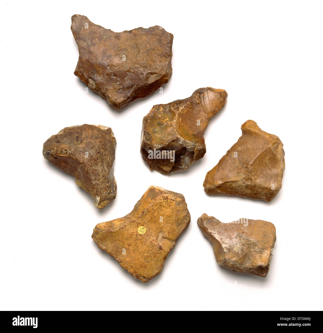 Eoliths aus Israel Stockfoto