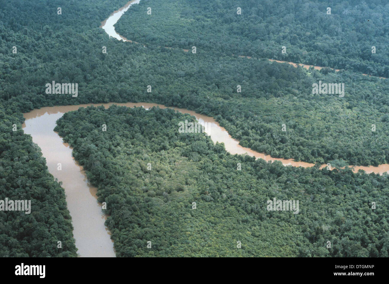 Luftaufnahme des Auenwaldfläche Stockfoto