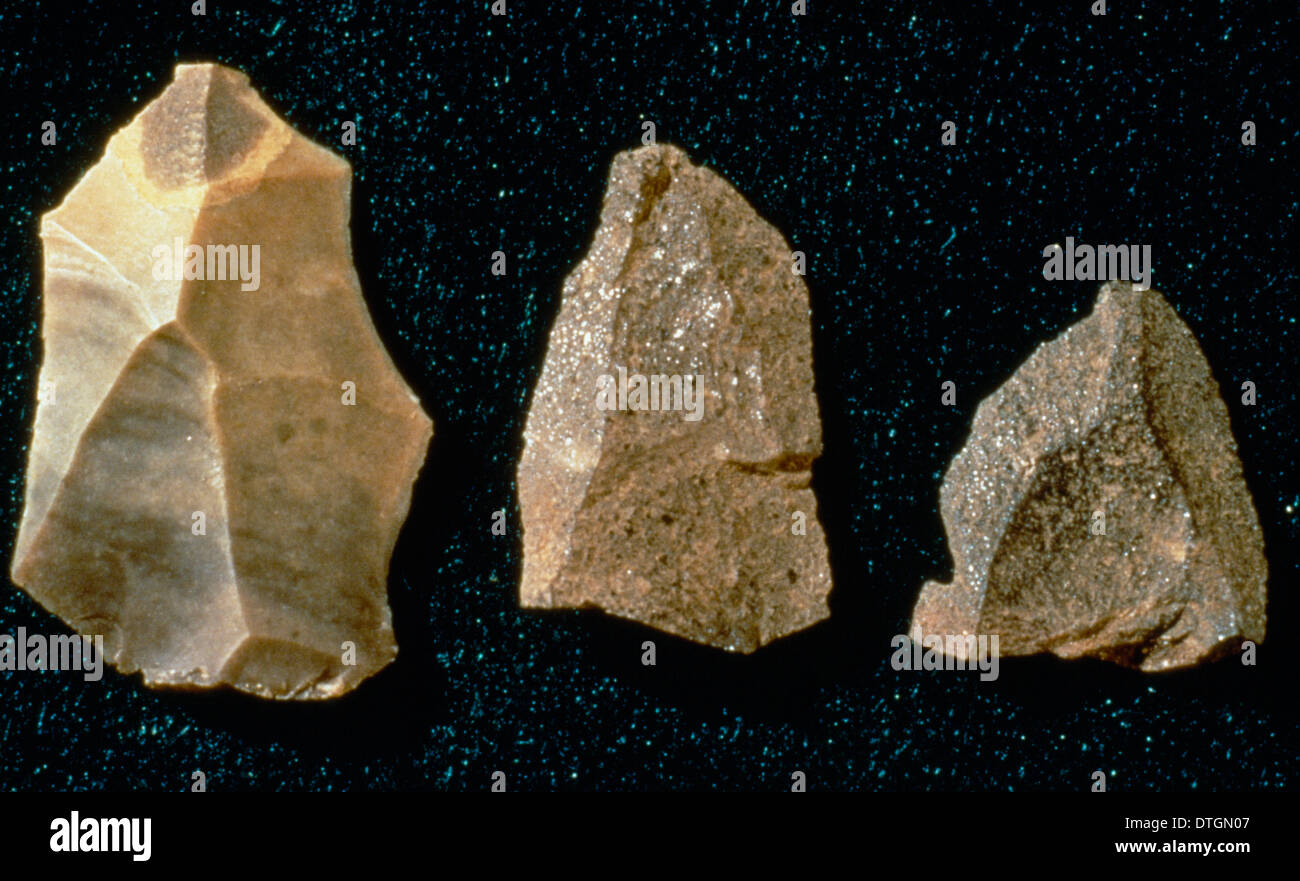 Neandertaler Artefakte Stockfoto