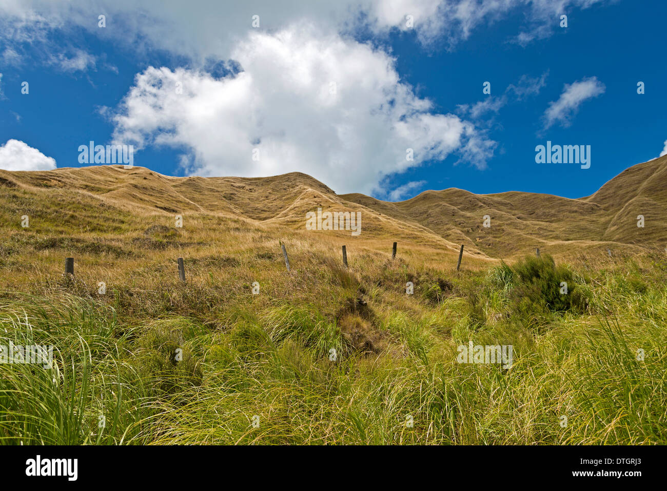 Hügel in der Nähe von Mahia, Mahia Peninsula, Hawkes Bay Region, Nordinsel, Neuseeland Stockfoto