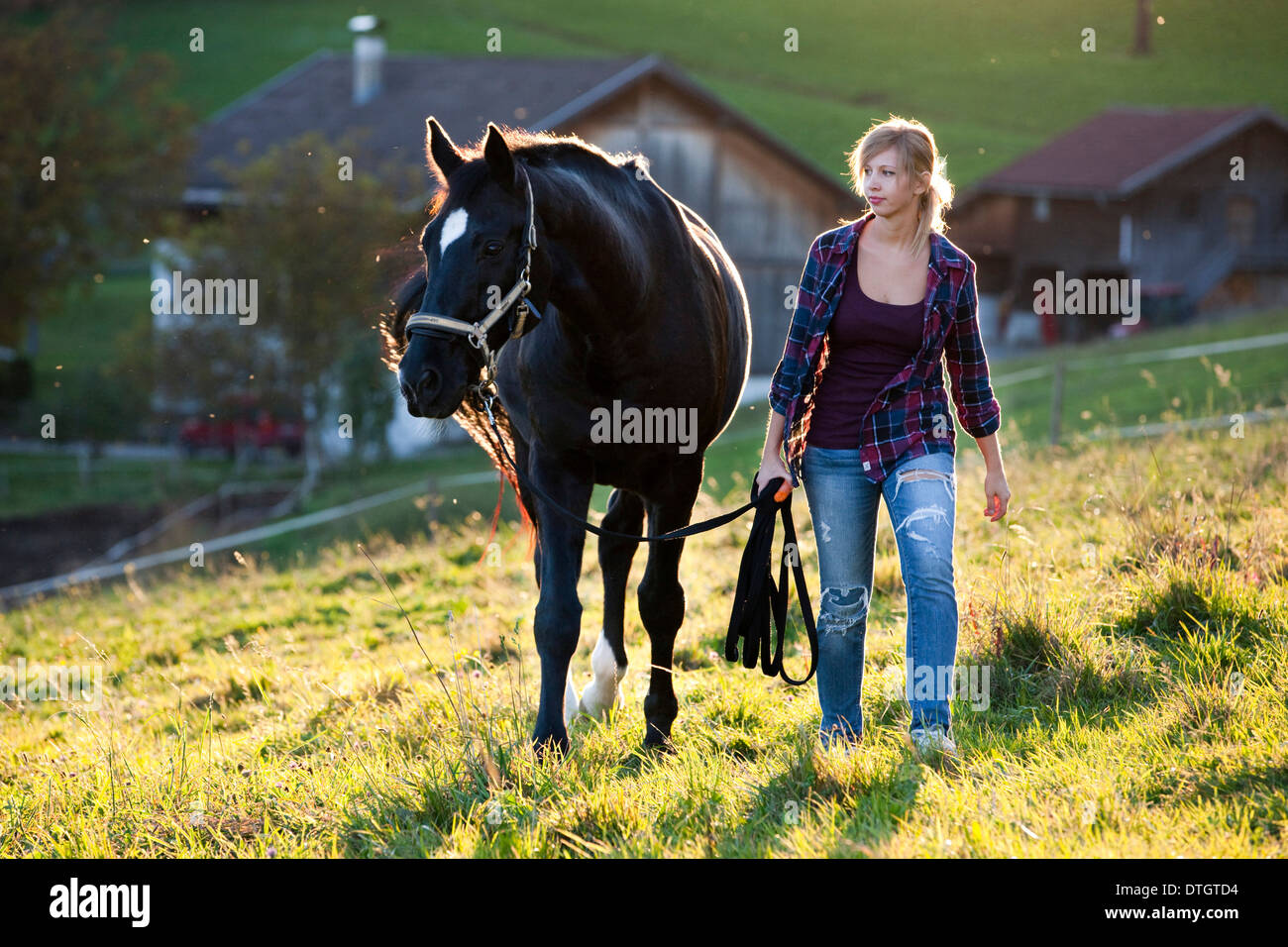 Eine junge Frau und ein schwarzes Hannoveraner Pferd, zu Fuß auf einer Bergwiese, Nord-Tirol, Österreich Stockfoto