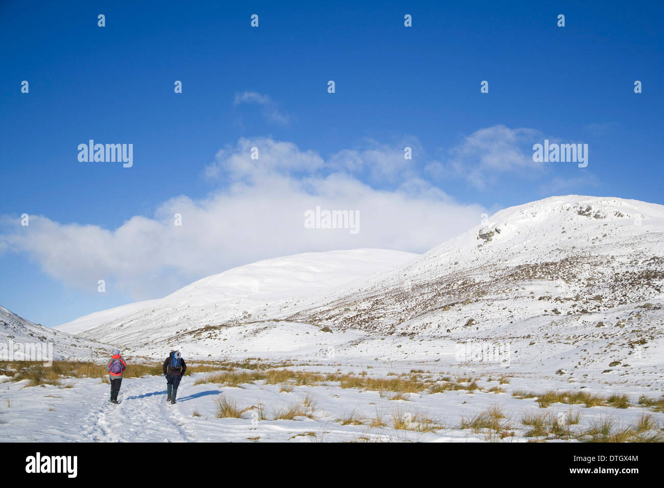 Zwei Wanderer in Glen Lochsie auf dem Weg nach Munro Glas Tulaichean klettern. Stockfoto
