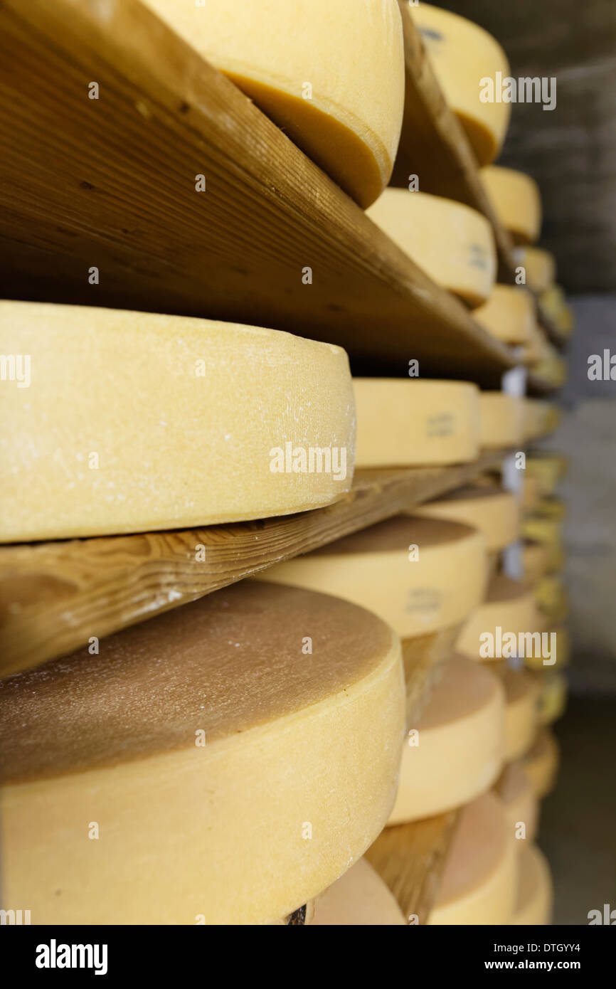 Reifung Keller für Almkäse, Alm, Alpe Obere Falz-Alm in der Nähe von Schetteregg, Egg, Bregenzerwald, Vorarlberg Stockfoto