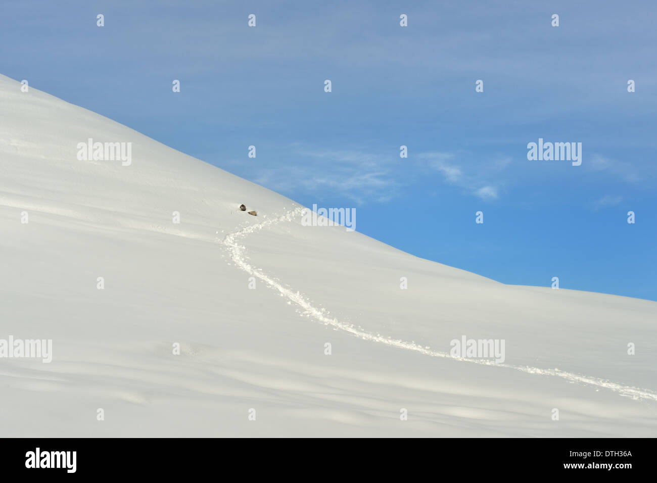 flaches Schneefeld am blauen Himmel Stockfoto