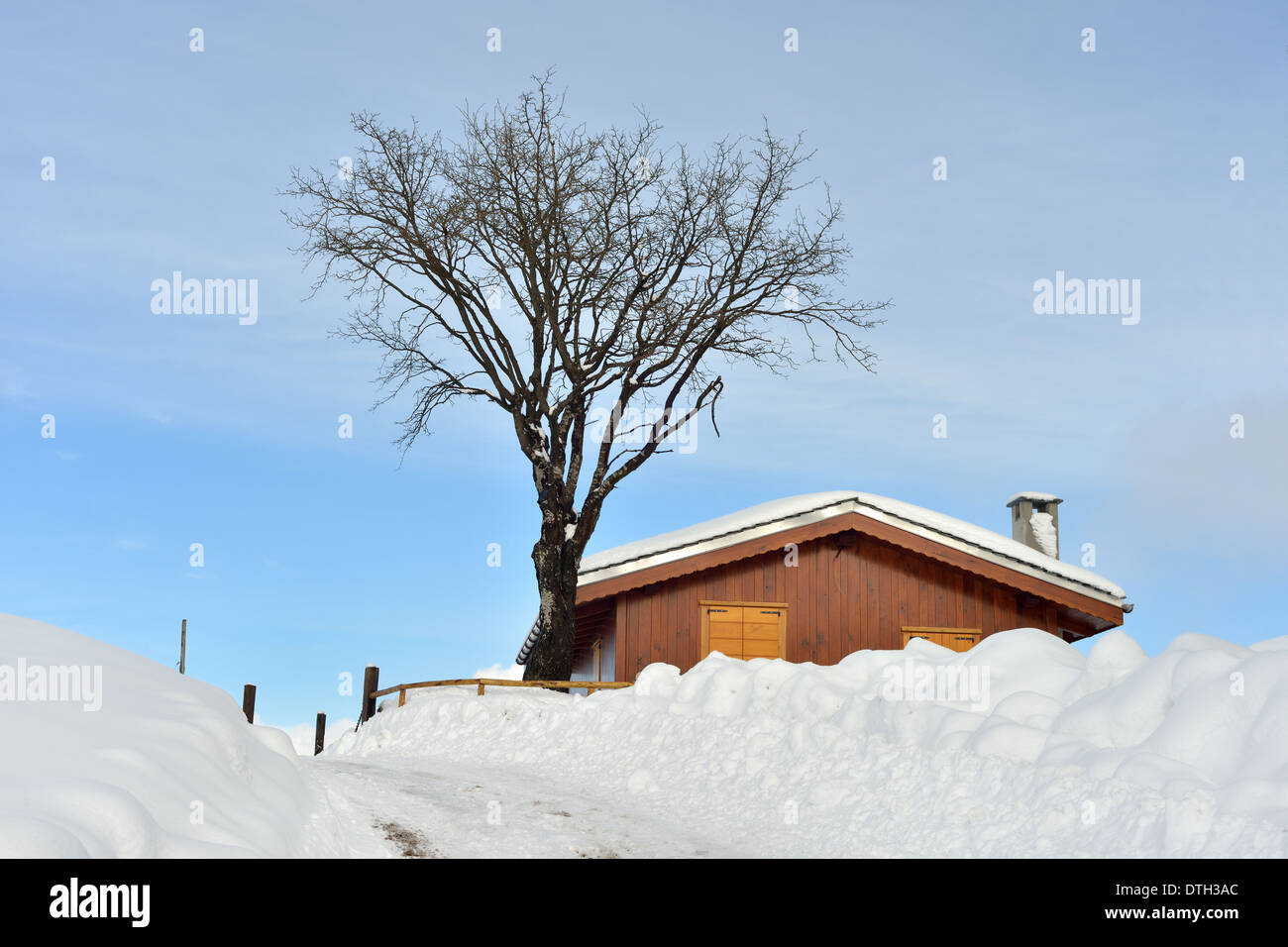 Haus im Schnee whit Baum auf Seite Stockfoto