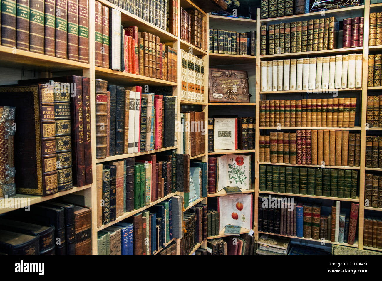 Schauen Sie sich ein Regal mit alten Büchern. Stockfoto