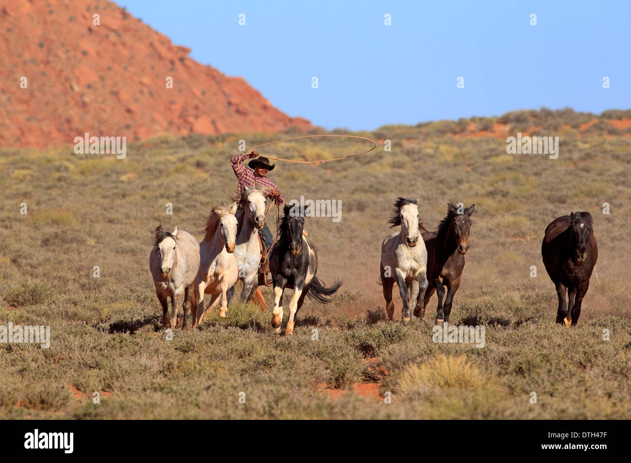 Navajo-Cowboy-Hüten Mustangs, native American, Monument Valley, Utah, USA Stockfoto