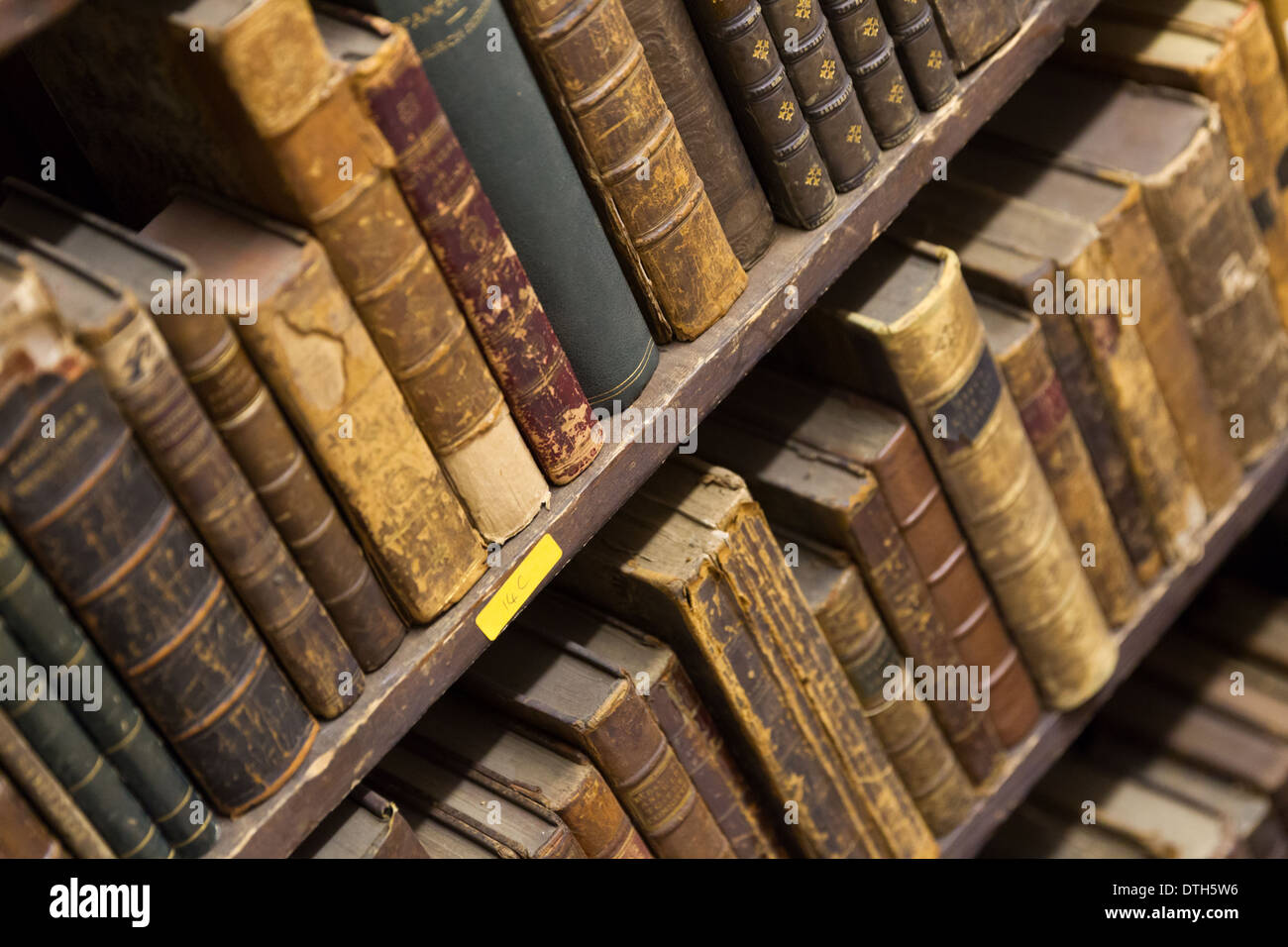 Bücher in den Regalen Stockfoto