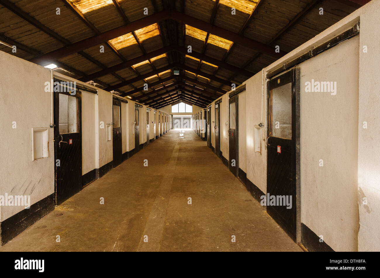 Stallungen auf der Irish National Stud farm Stockfoto