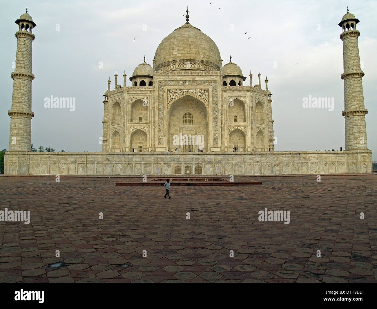 Das Taj Mahal und Minarette im Morgengrauen, Agra, Indien Stockfoto