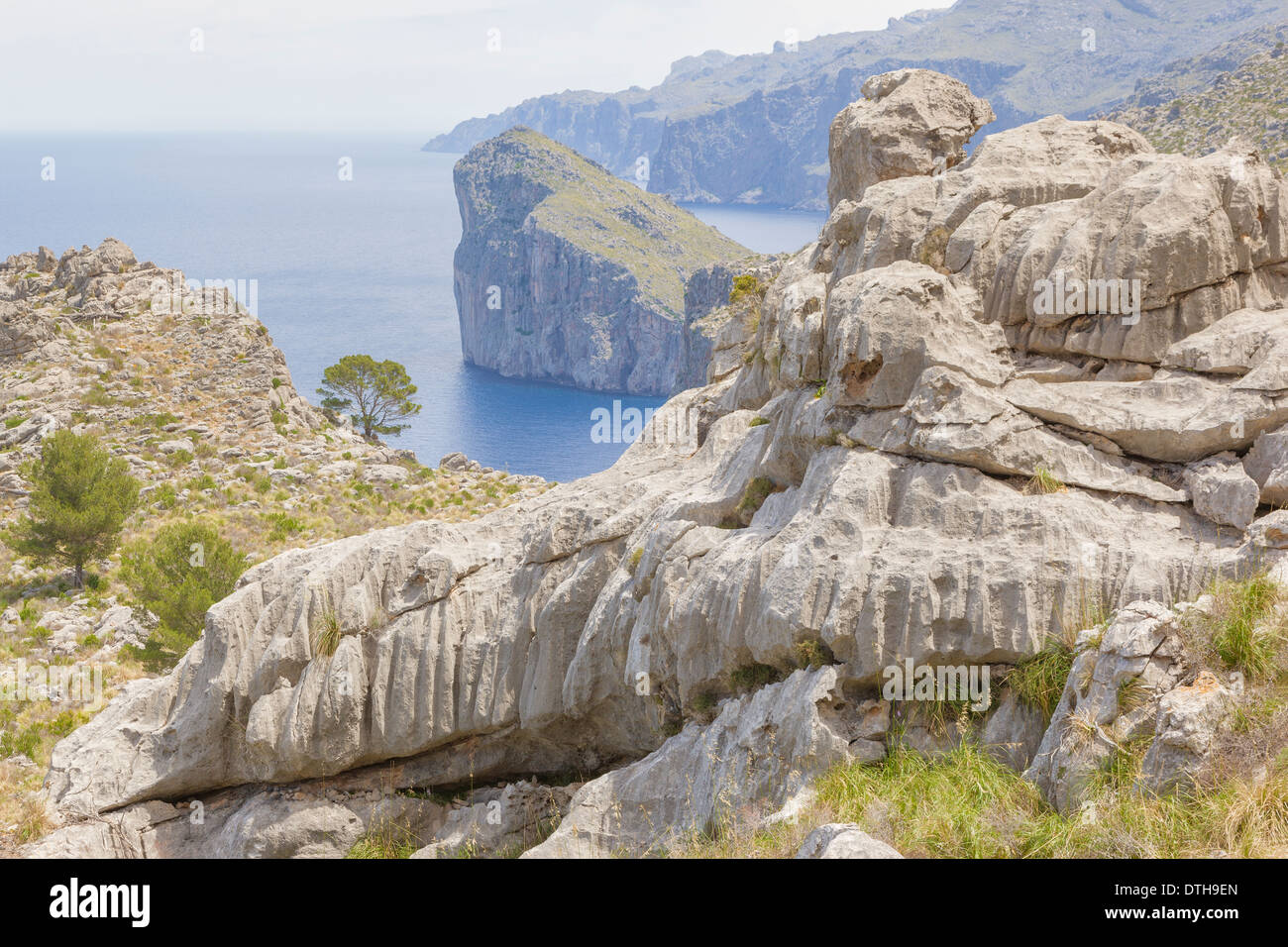 Kalkfelsen geprägt durch Wassererosion. La Calobra Bereich, Tramuntana Berge, Escorca Region, Mallorca, Balearen, Spanien Stockfoto