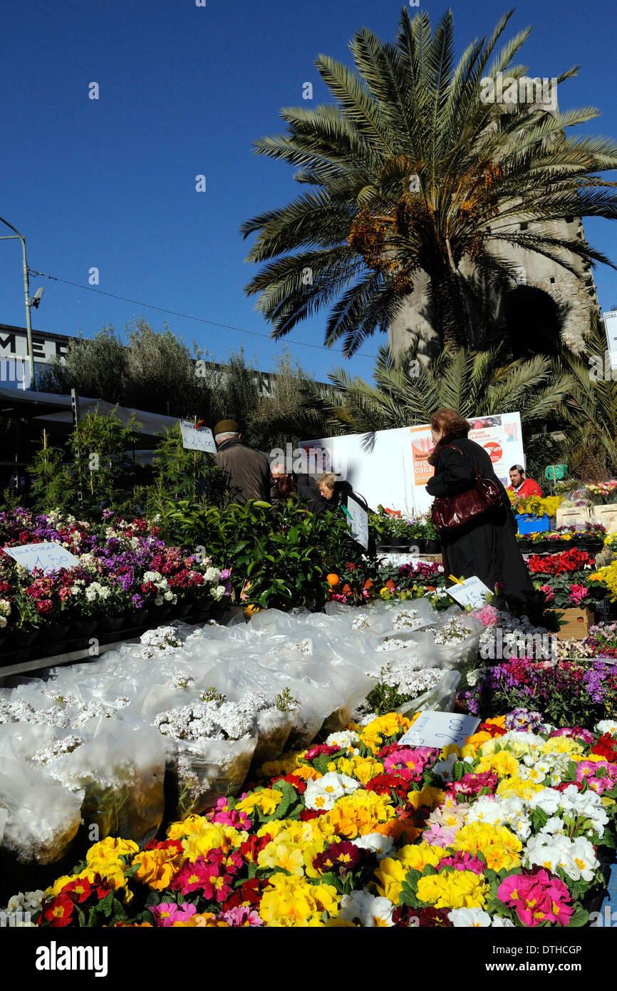 Die bunten Blumenmarkt von Sanremo Stockfoto