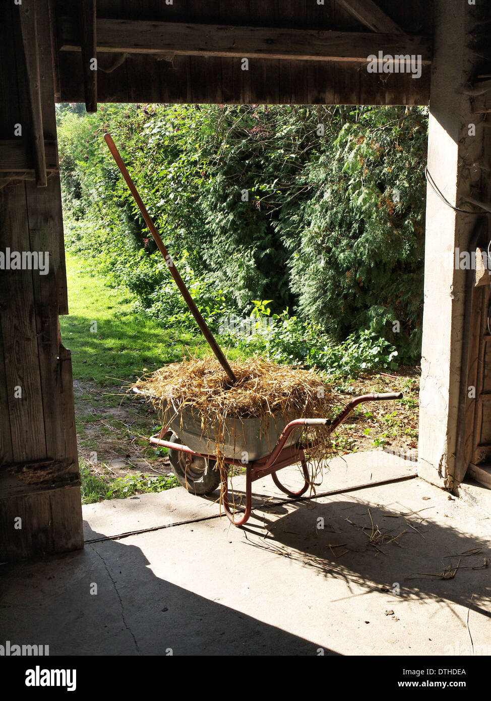 Der Pferdestall mit einer Schubkarre Ausmisten. Stockfoto