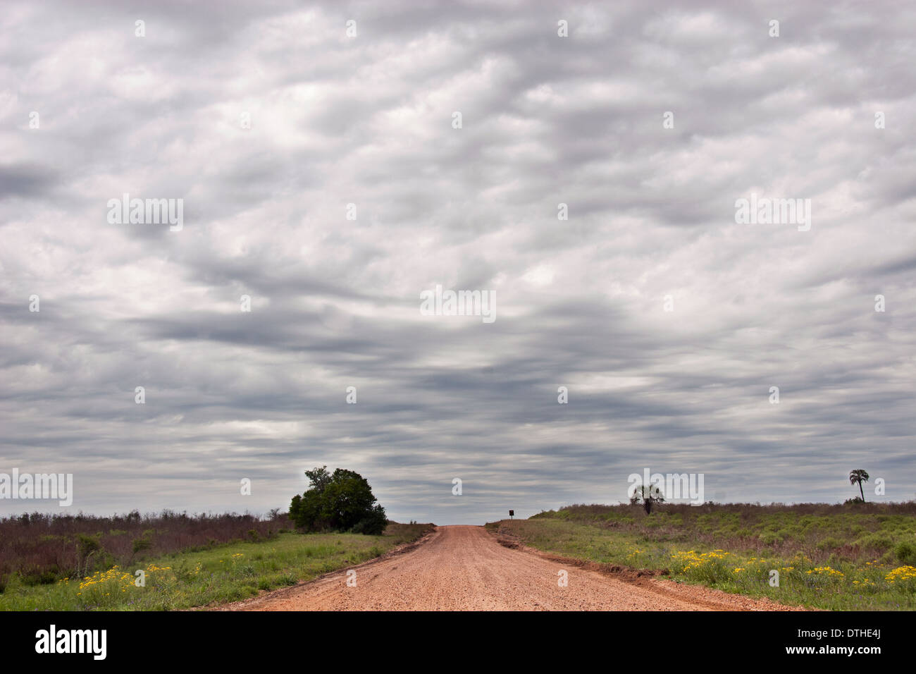 El Palmar Nationalpark, Provinz Entre Rios, Argentinien Stockfoto