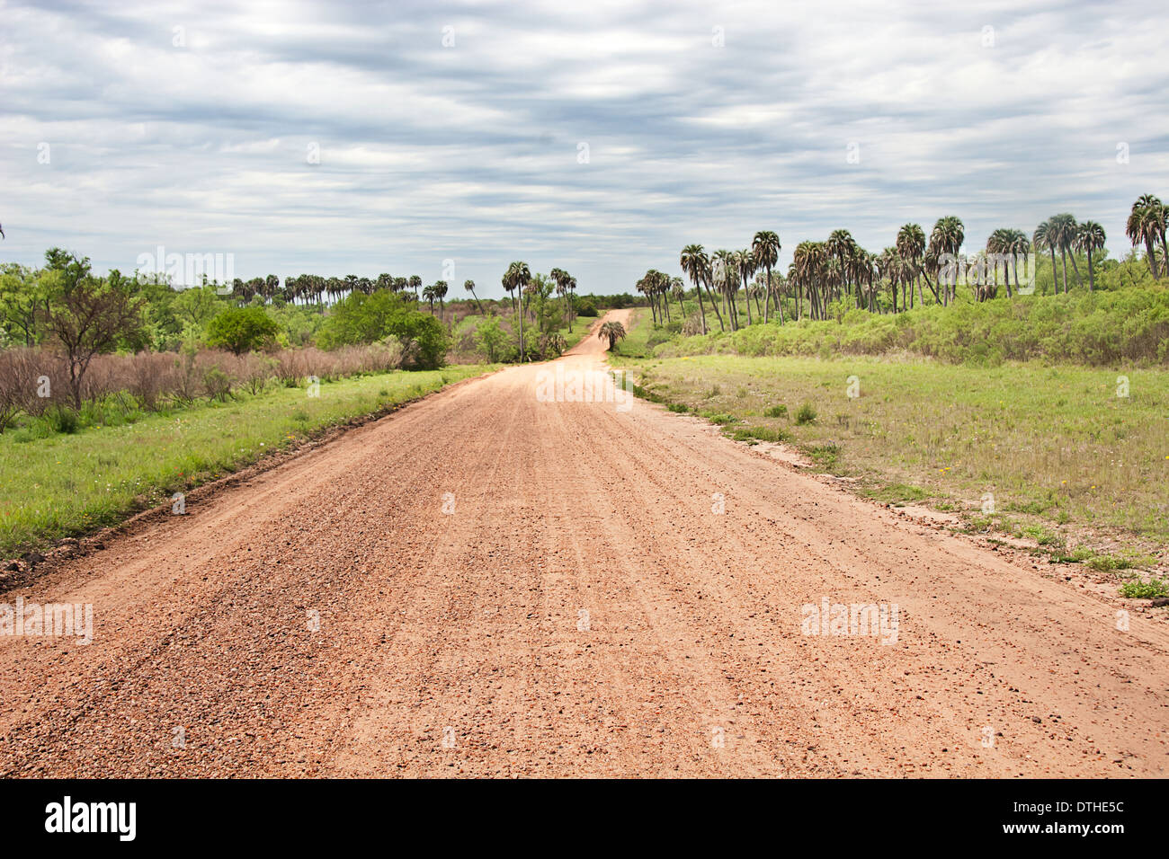 El Palmar Nationalpark, Provinz Entre Rios, Argentinien Stockfoto