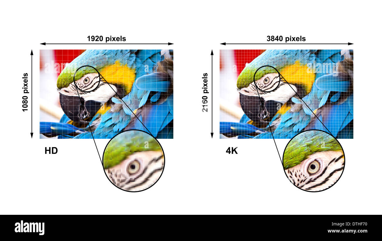 4K TV Display mit Vergleich der Auflösungen. Ultra HD auf auf modernen TV Stockfoto