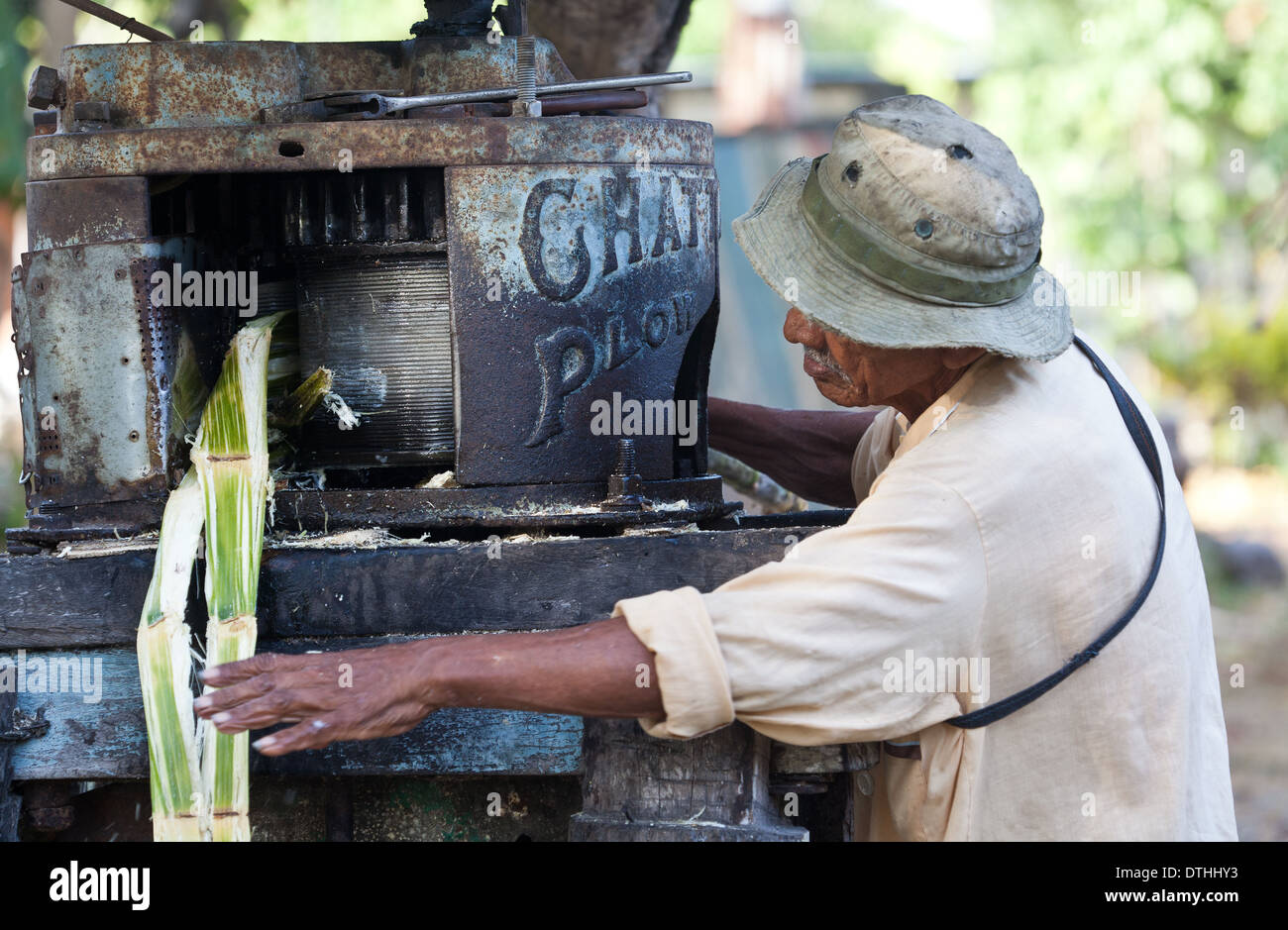 Panamaischer Mann machen Raspadura aus Zuckerrohr in der Nähe von Penonome in Cocle Provinz, Republik von Panama. Stockfoto