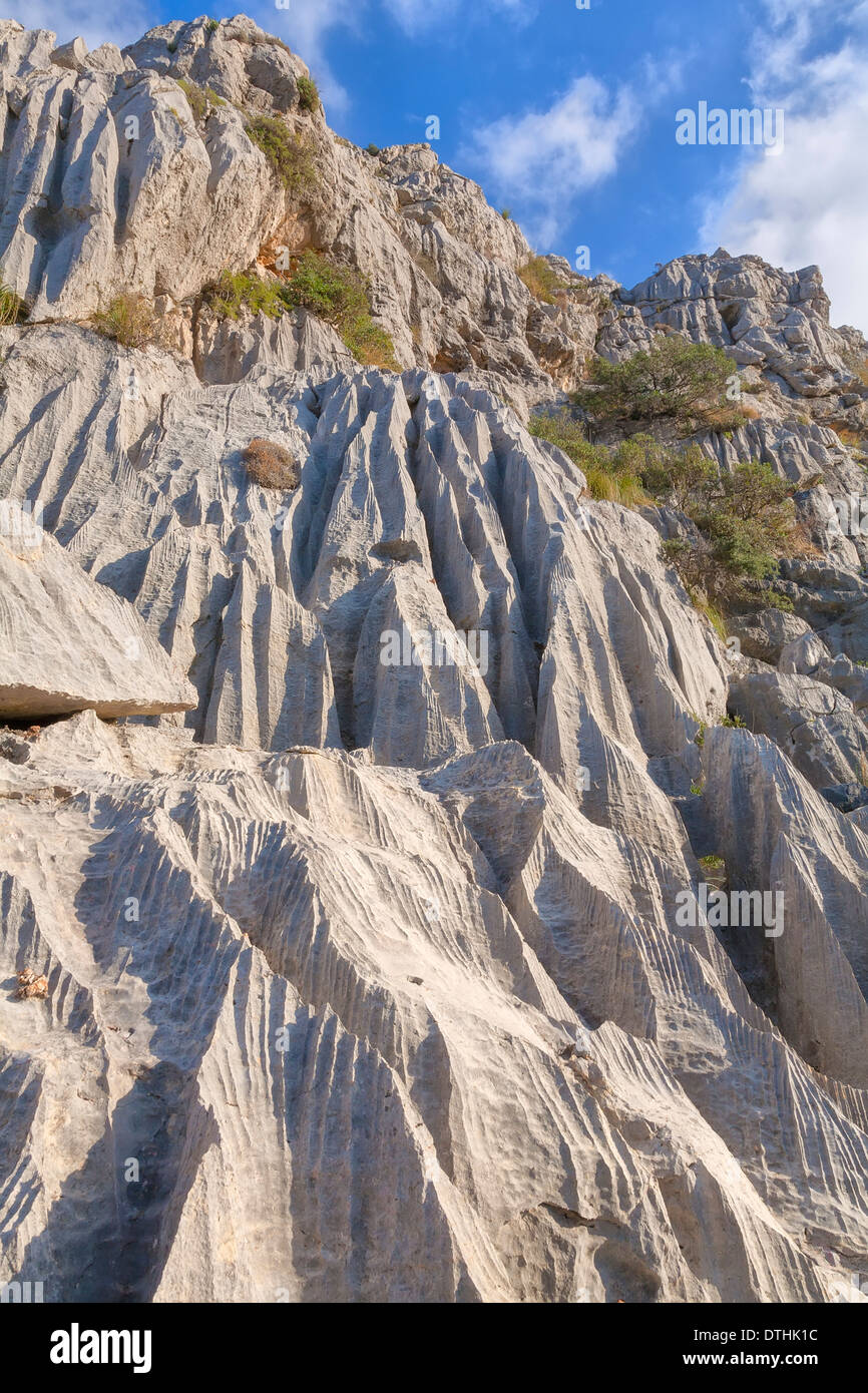 Kalkfelsen geprägt durch Wassererosion. Tramuntana-Gebirge. Escorca Bereich, Mallorca, Balearen, Spanien Stockfoto
